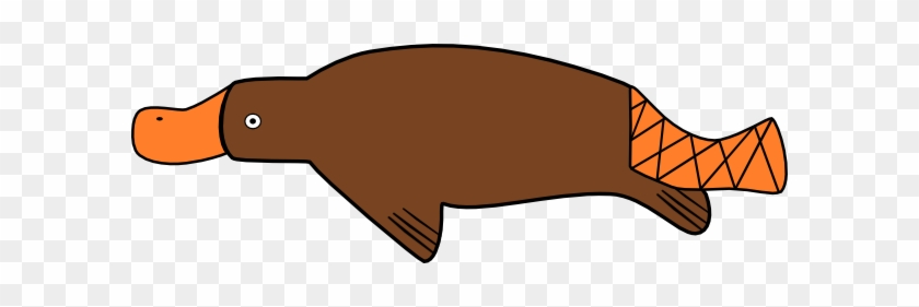 Platypus Clipart #773943