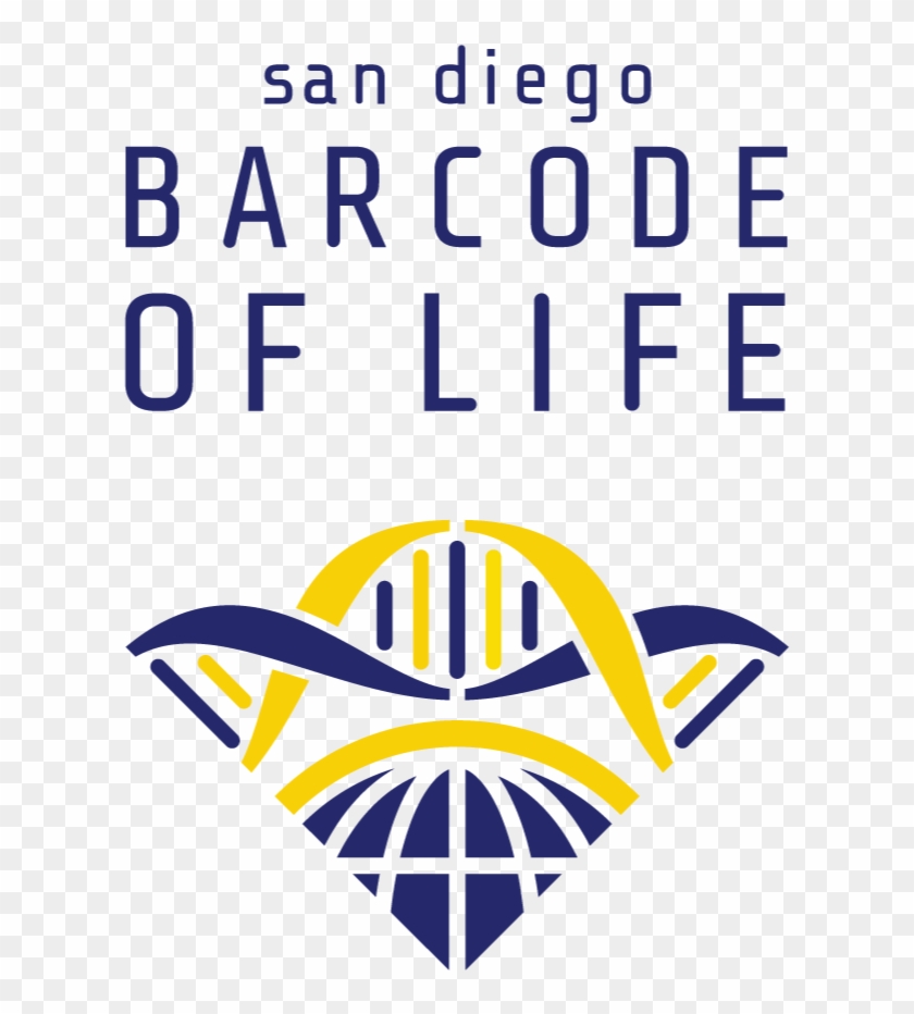 San Diego Barcode Of Life - Consortium For The Barcode Of Life #773984