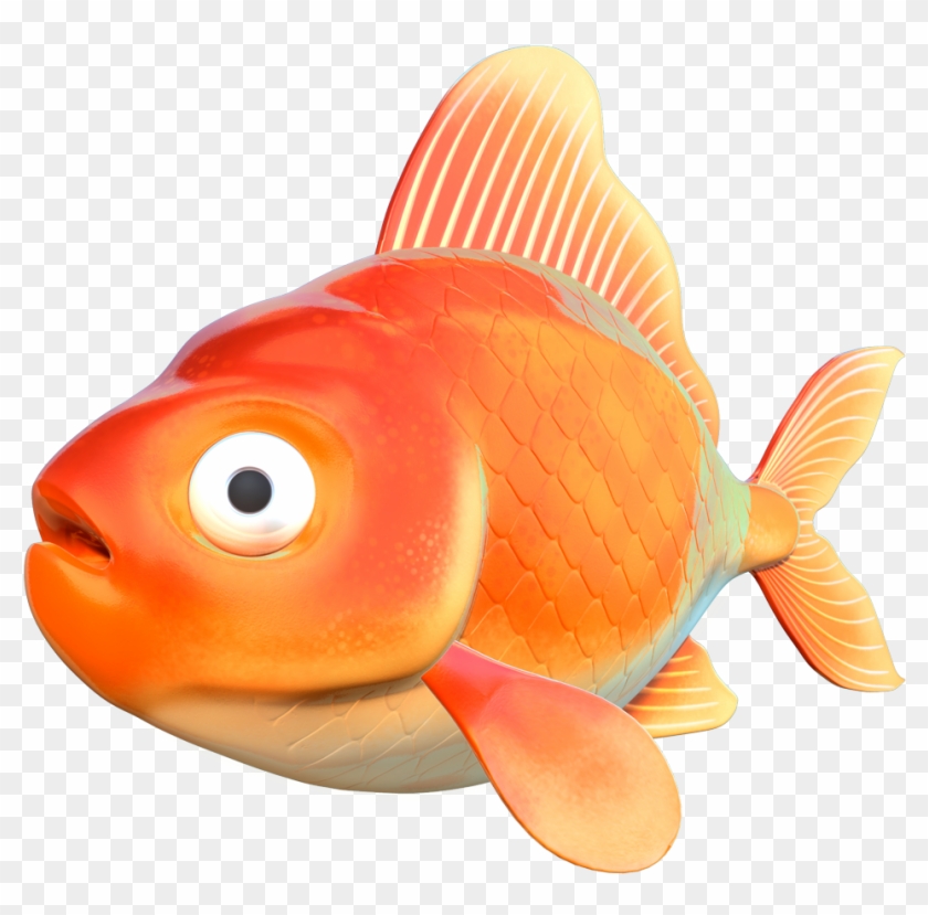 The Final Goldfish - - Feeder Fish #774099