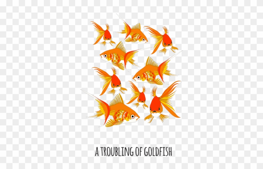 An Troubling Of Goldfish - Art #774108