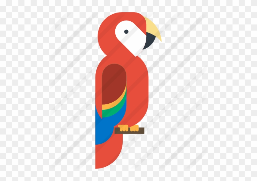 Macaw - Macaw #774335