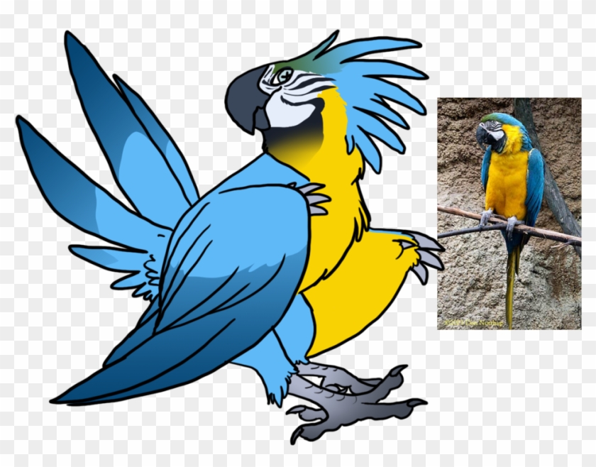 Blue And Gold Macaw Snekcihc Adopt By Dogthatkills - Blue And Gold Macaw #774340