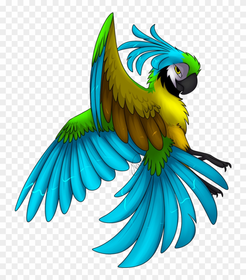 Lima Sokkien'z By Nairasanches - Macaw #774343