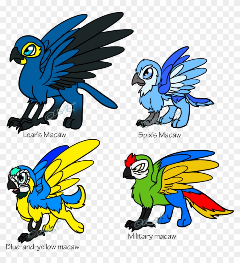 Parrot Griffins Adoptables By Usagi Zakura - Parrot #774352