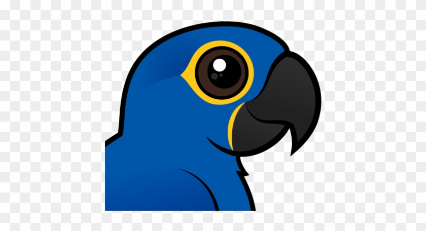 About The Hyacinth Macaw - Hyacinth Macaw #774356