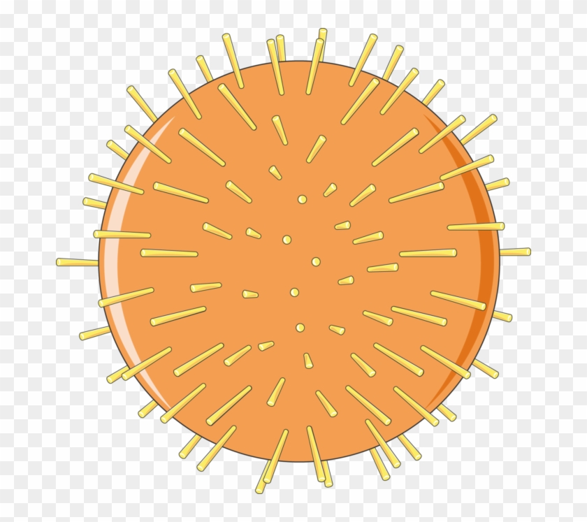 Herpes Virus - Cool Beyblades #774394