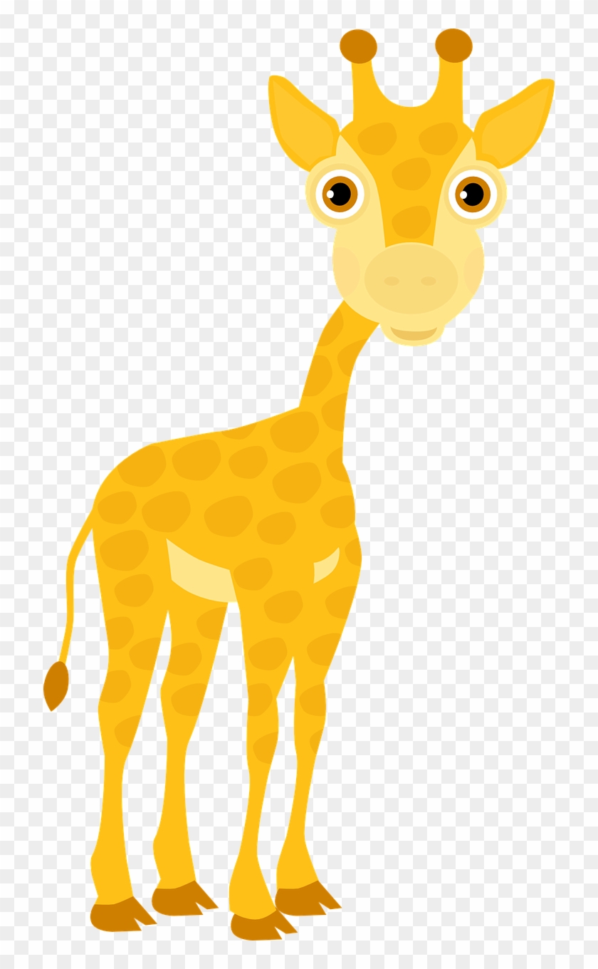 Giraffe Cub Zoo Africa Safari Png Image - ยีราฟ การ์ตูน Png #774443
