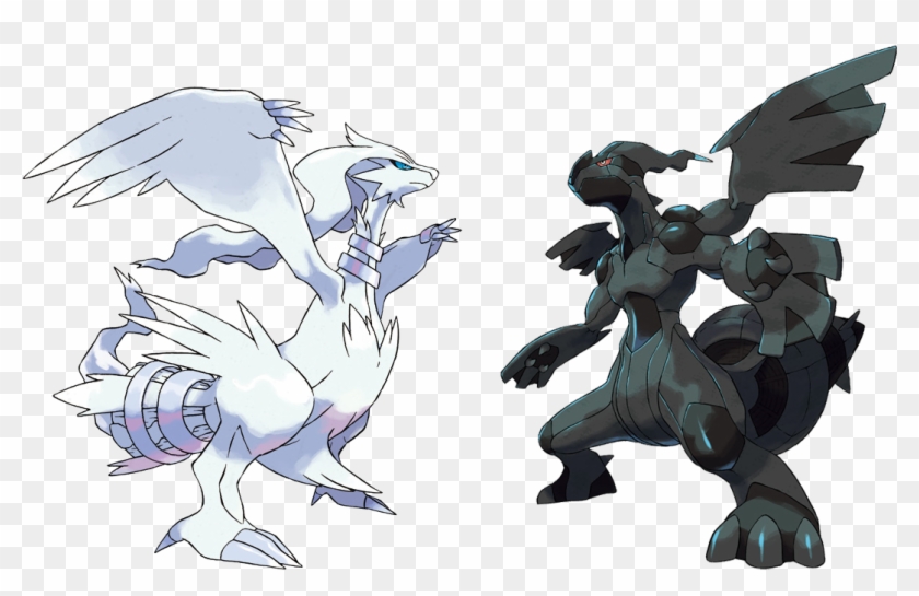 Reshiram-zekrom - Black And White Pokemon #774541