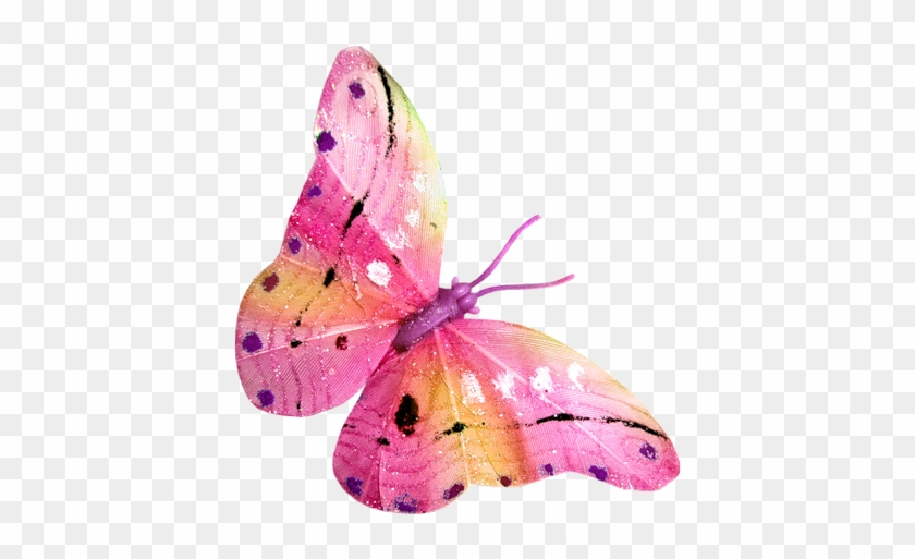 Butterfly Clip Art - Butterfly Clip Art #774613