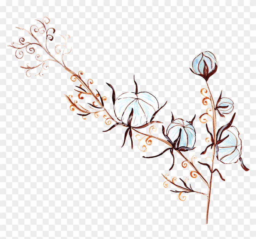 Hand Drawing Flowers And Cotton Plants - Flower Transparent Drawing #774572