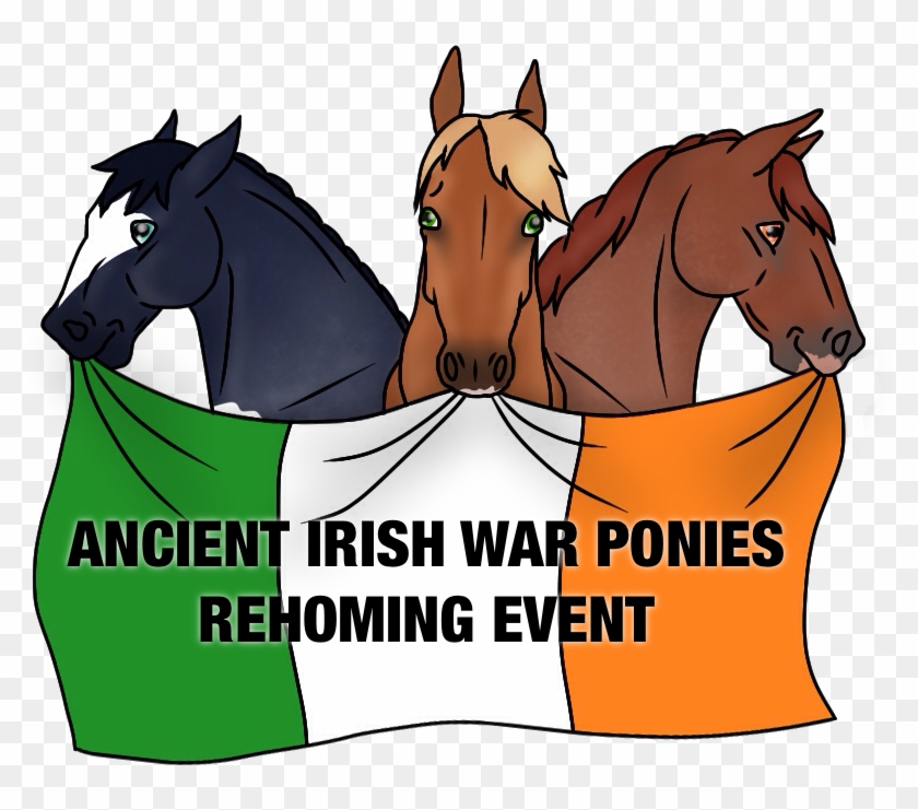 Ancient Irish War Ponies 'rehoming Event ' Update In - Irish Need Apply #774703