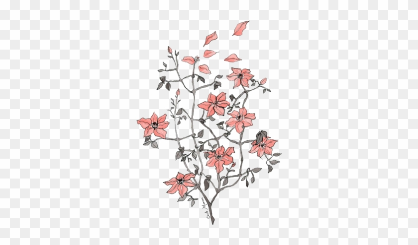 Tumblr Transparent Flower Drawing - Flower Drawings #774730