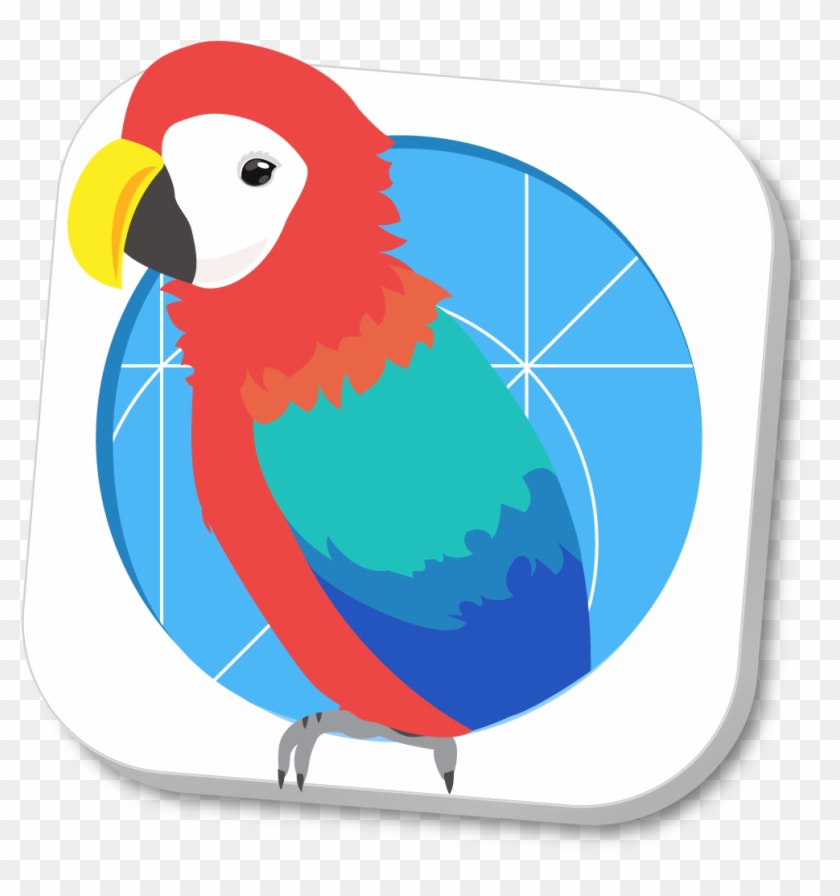 Macaw #774791