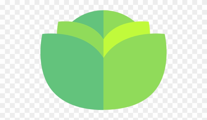 Lettuce Free Icon - Lettuce Icon #774927