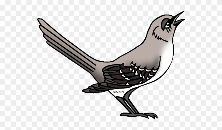 Ptáci - Školákov - Mockingbird Clipart #775146