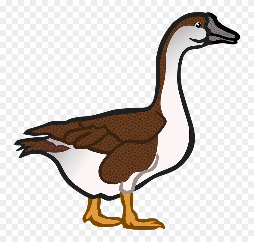 Brown Cuckoo Cliparts 7, - Goose #775216