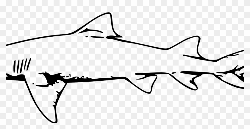 Great White Shark Clipart - Free Clip Art Black And White Shark #775268