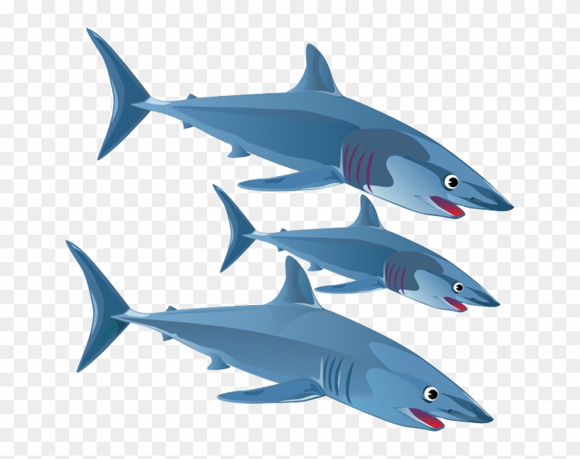 Blue Shark Great White Shark Clip Art - Blue Shark Great White Shark Clip Art #775288