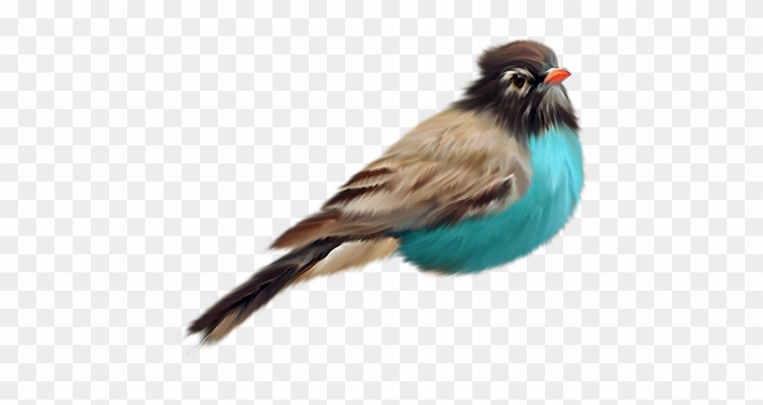Bird Png - Bird Perched Transparent Background #775286