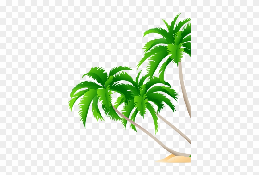 1800 Central Commerce Court - High Resolution Coconut Tree Leaf Vector #775371