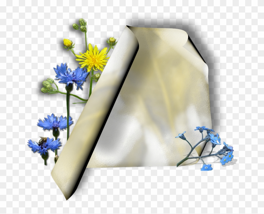 Parchments With Flowers - Parchment #775482