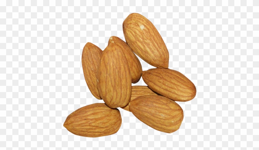 Almond Png - Almond Png #775491