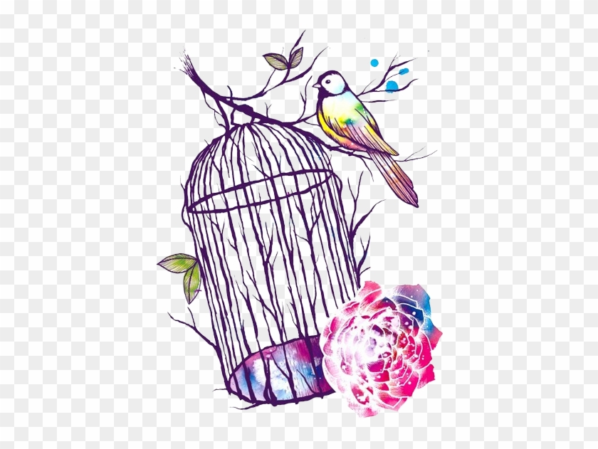 Bird Cage Drawing Tumblr - Perching Bird #775496