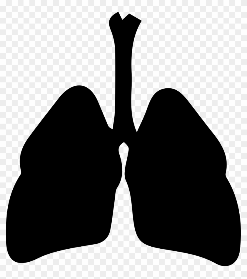 Respiratory System Comments - Respiratory System Icon #775542