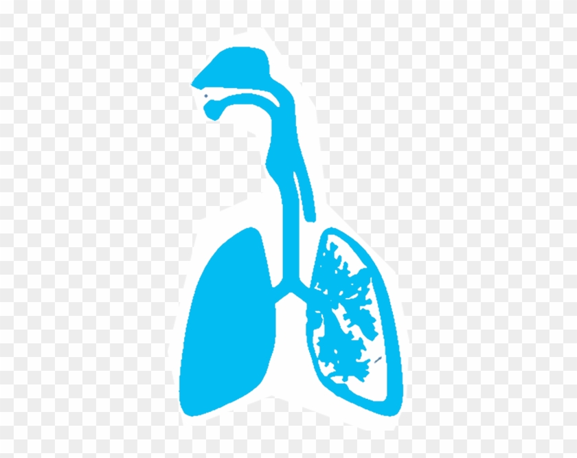 The Effects Of Sodium Chloride Aerosol On The Inferior - The Effects Of Sodium Chloride Aerosol On The Inferior #775602