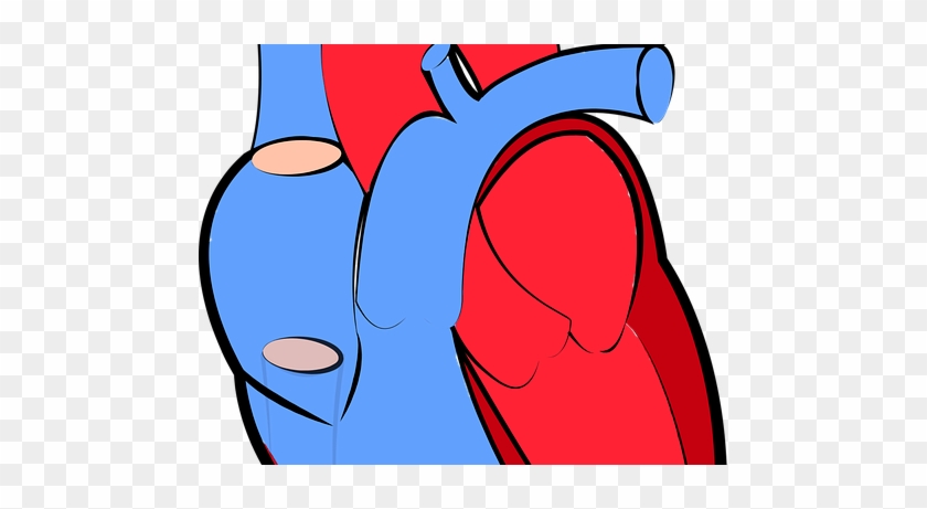 Pulmonary Artery Catheter Market - Heart Disease Symptom Blocking Immune Cell Migration #775606