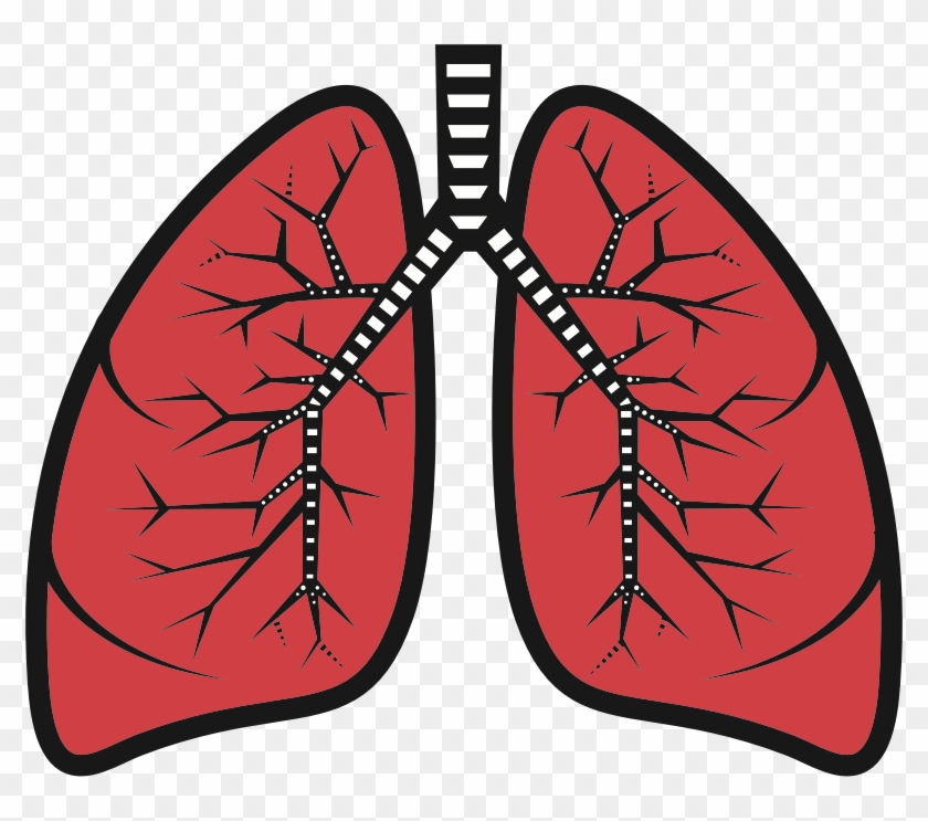 Medium Image - Clip Art Lungs #775701