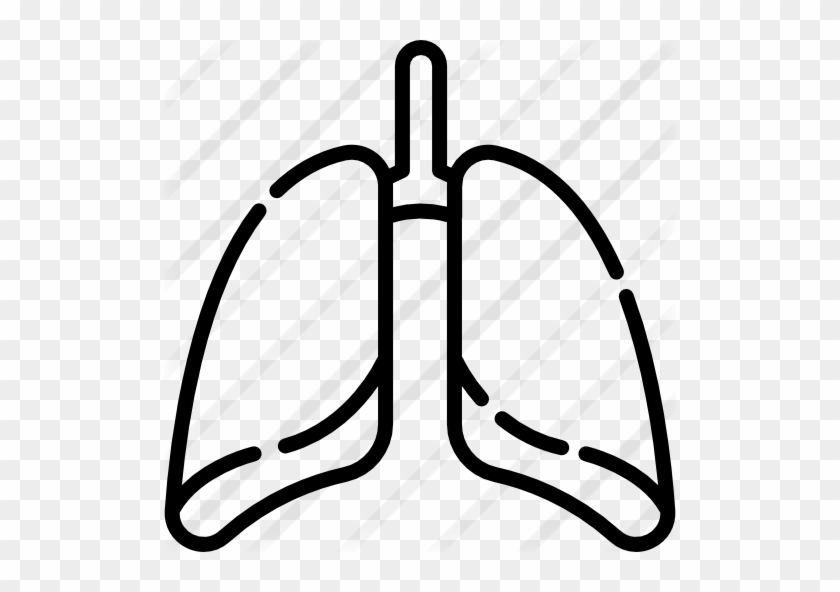 Lungs - Lung #775762