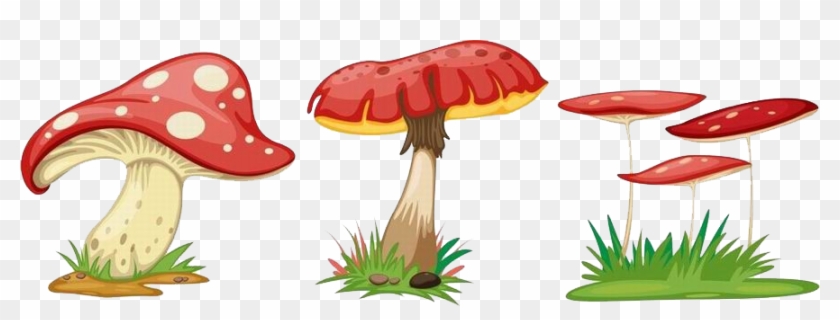 Fungus Cartoon Mushroom - Fungus Cartoon Mushroom #776161