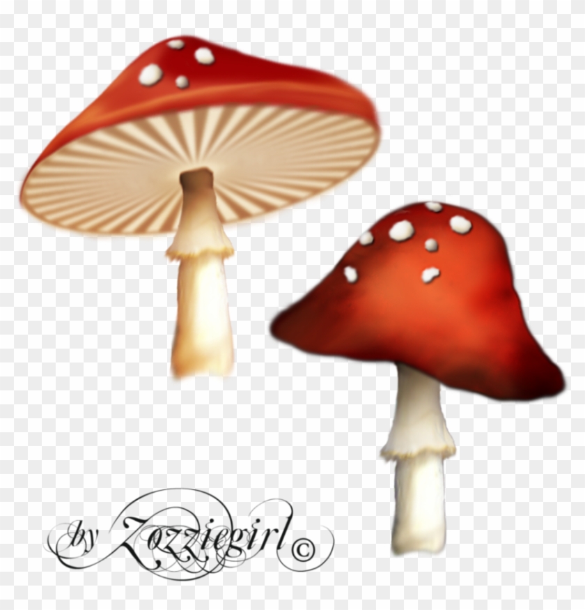 Free Icons Png - Enchanted Mushroom Png #776180