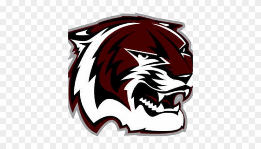 A&m Consolidated Hs - A&m Consolidated Tigers Logo #776444