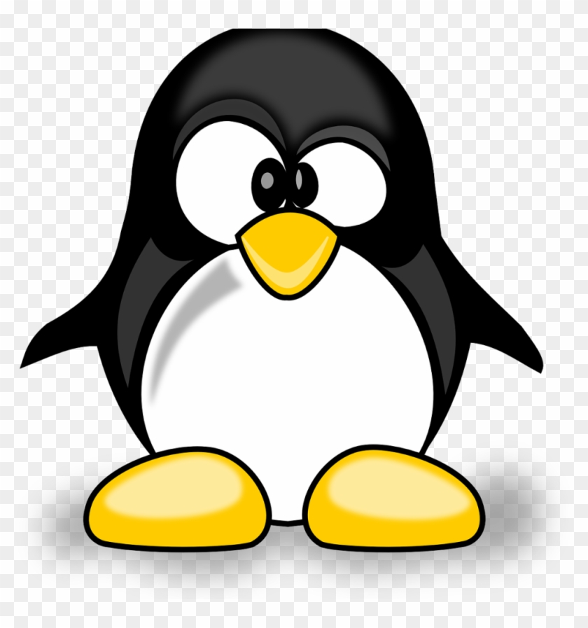 Google Algorithm Update Jan - Imagenes De Un Pingüino #776451
