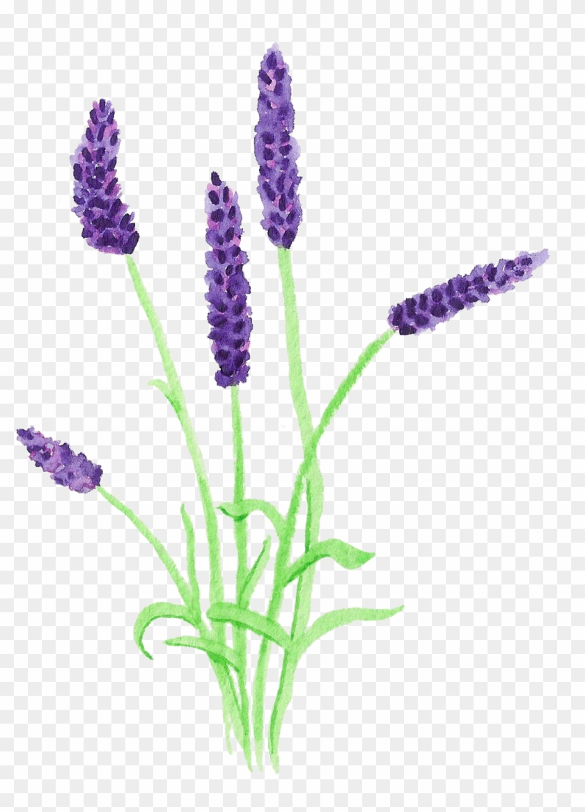 Art Floral - Grape Hyacinth #776724