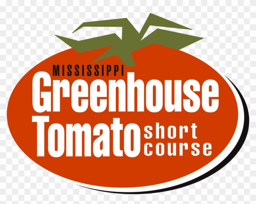 Greenhouse Tomato Short Course - Tomato #776866