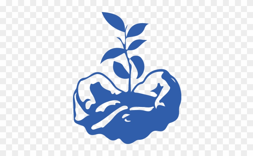 Hand Holding A Seedling - Icon For Social Justice #777387