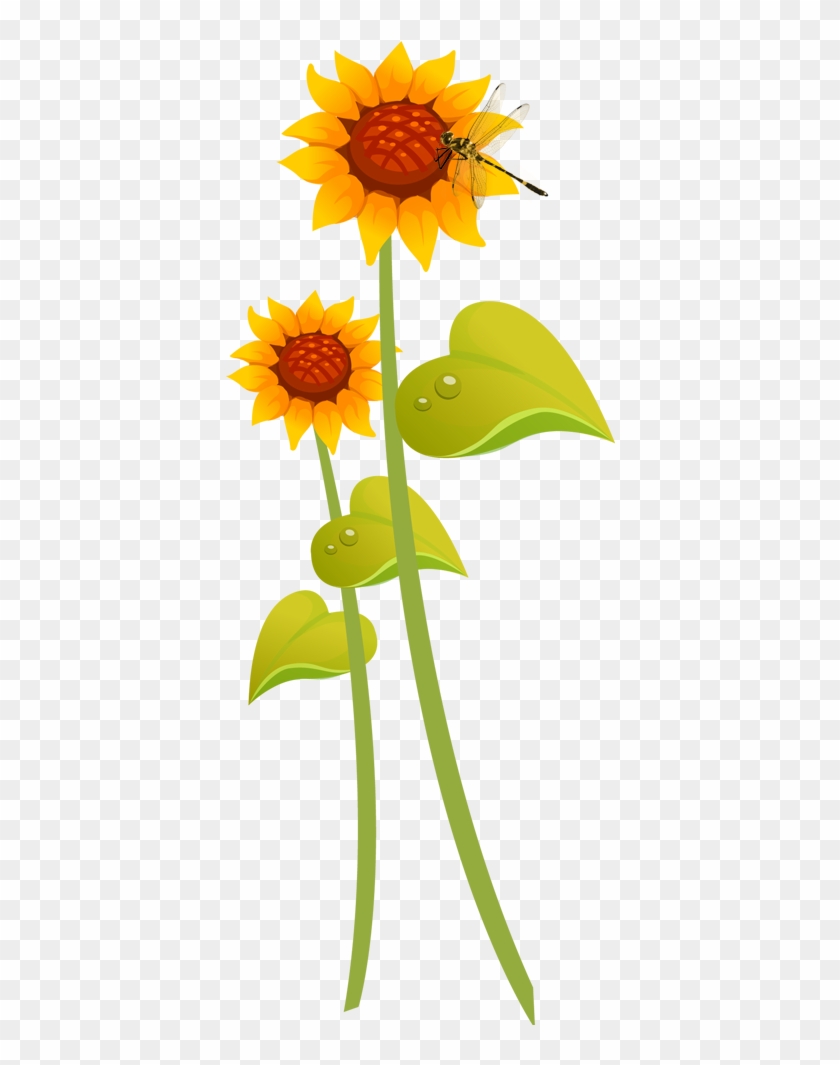 Common Sunflower Cartoon Illustration - Common Sunflower Cartoon Illustration #777570