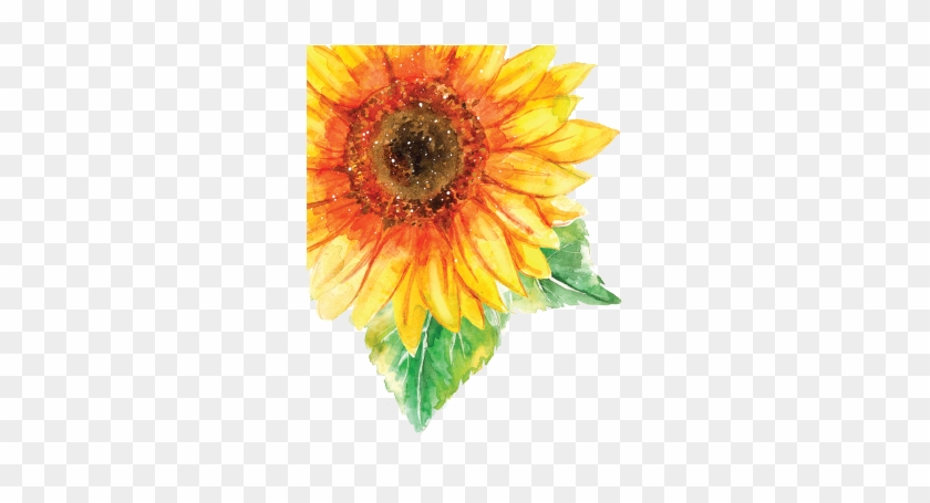 Sun Please - Sunflower #777660