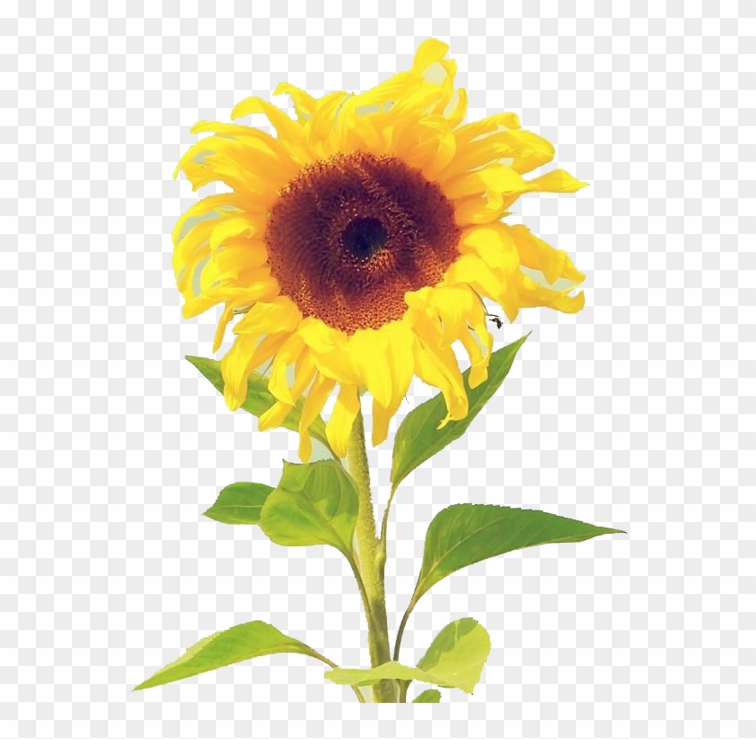 Tablet Computer Computer Monitor Wallpaper - Tablet Computer Computer Monitor Wallpaper #777683