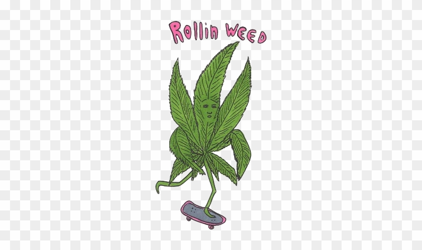 Pot Leaf Clipart With Transparent Background - Ripndip #777685