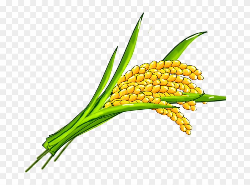 Rice Clip Art - Rice #777706