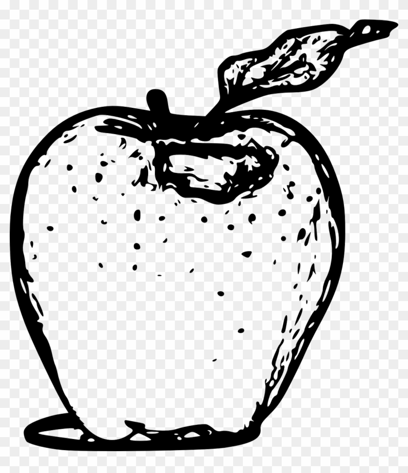 Apple Fruit Leaf Png Image - Apple Line Art #777812