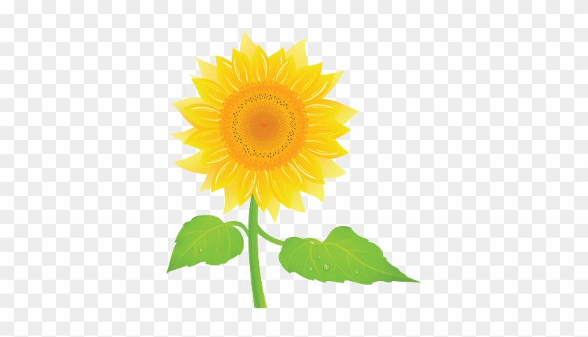 Studyladder, Online English Literacy & Mathematics - Sunflower #778185