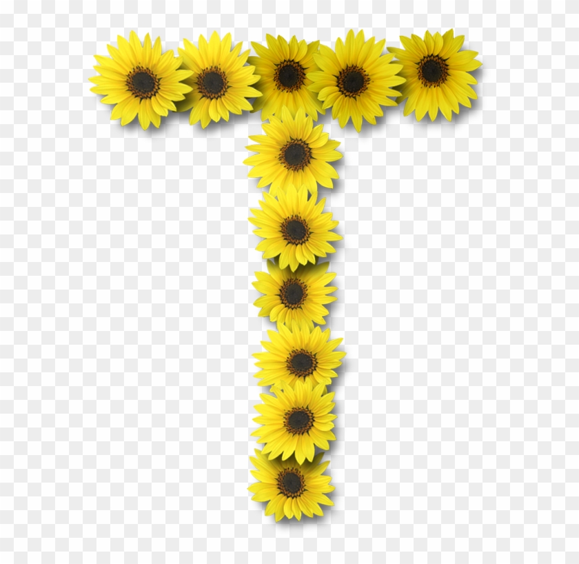 Alfabeto Sunflowers - Sunflower Alphabet T #778218