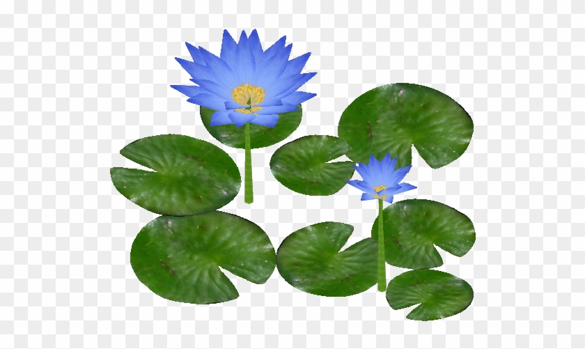 Giant Water Lily - Free Water Lily Png #778342