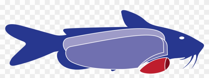 Nuggets Are The Lower Part Of The Shank Fillet Available - Nuggets Are The Lower Part Of The Shank Fillet Available #778631