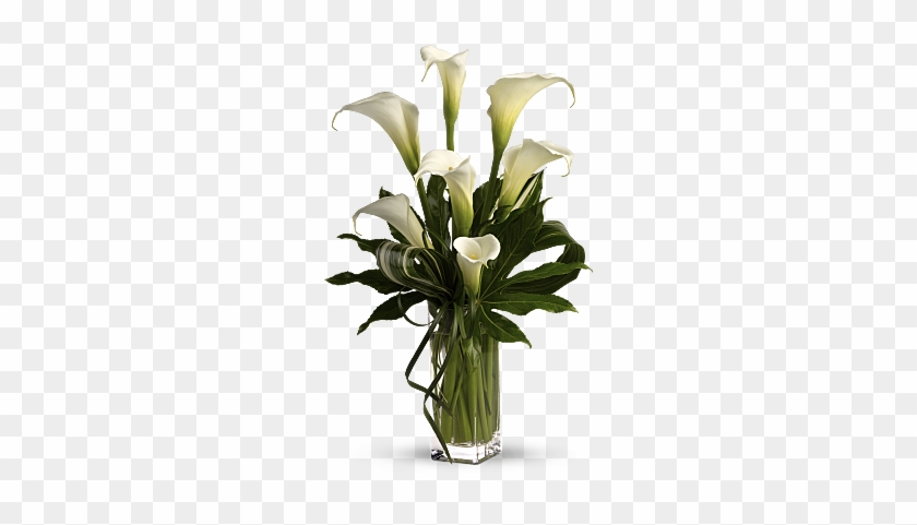 My Fair Lady By Teleflora - Calla Lily Flower Arrangement #778688